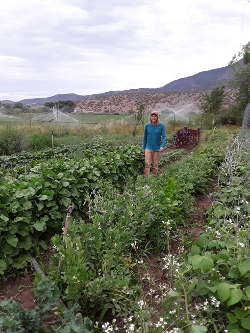Homestead Seed CSA Share