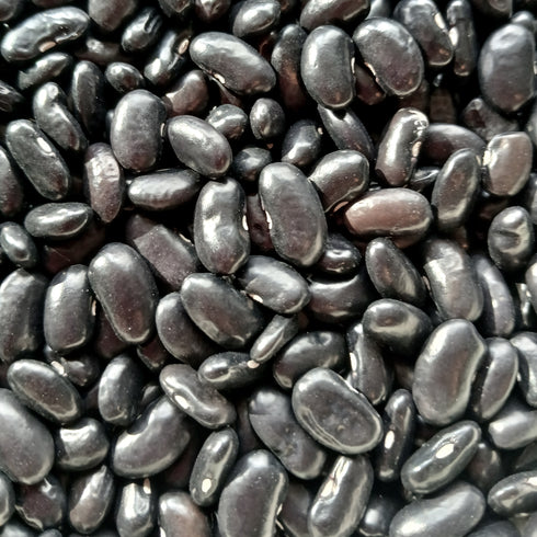 Homestead Seed CSA Share