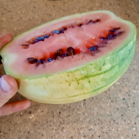 Pueblo Watermelon Mix
