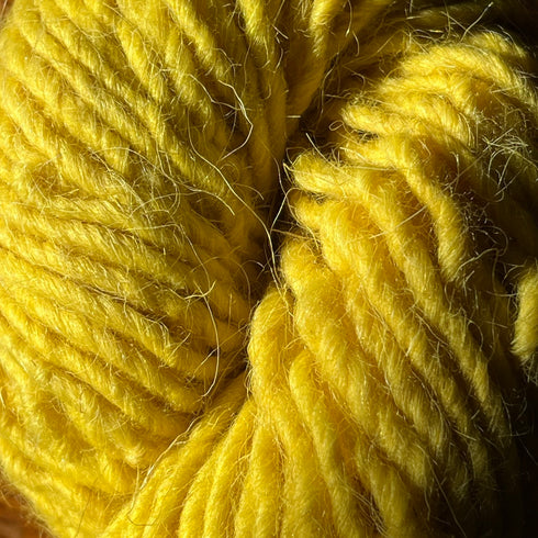 Weld (Dyer's Rocket)