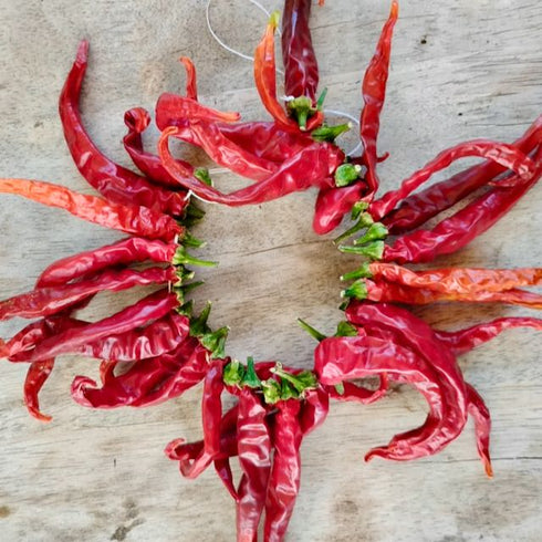 Ring O' Fire Cayenne