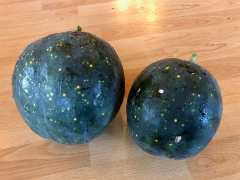 Jeremiah the Bullfrog Watermelon