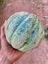 Oka Melon