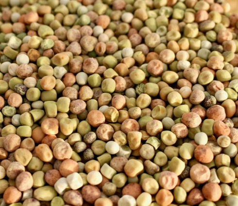 Pea Landrace