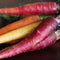 Colorful Carrot Mix