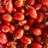 Fiaschetto Tomato