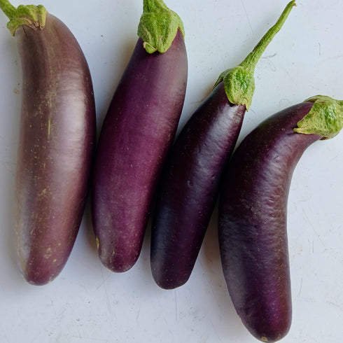 Long Asian Eggplant