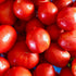 Northern Ruby Tomato