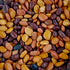 Tepary Bean Mix