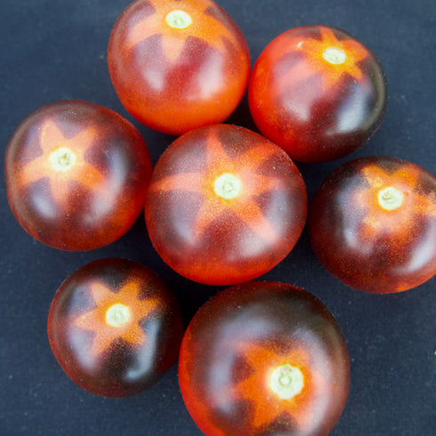 Goluboy Les (Blue Forest) Tomato