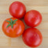 Cyril's Choice Tomato