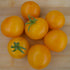 Gold Nugget Tomato