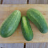 Marketmore Cucumber