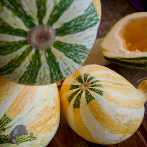 hopi cushaw seeds yellow and green striped fruits