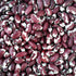 Ancestral Puebloan Beans