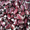 Ancestral Puebloan Beans