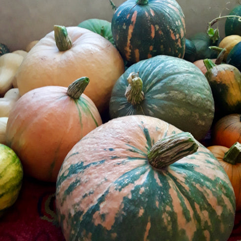 Three Sisters Seed Packet Gift Set