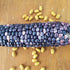Rainbow Corn Landrace
