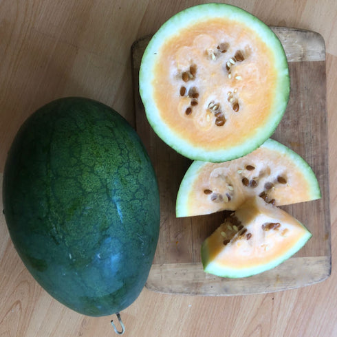 Sweet Siberian Watermelon