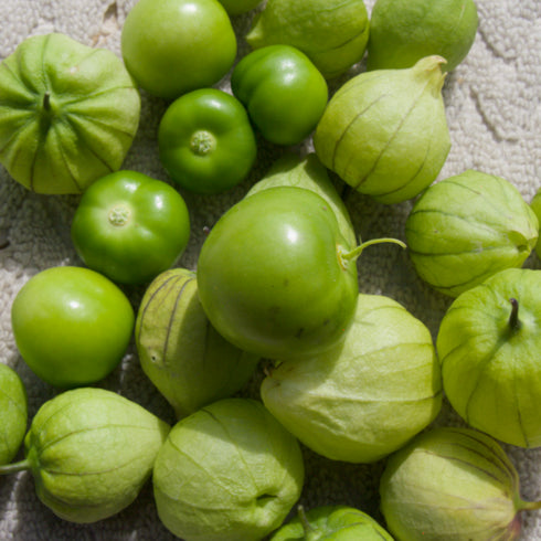 Tomatillo Verde