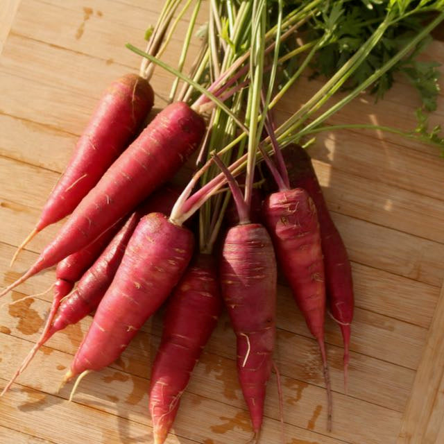 Dragon Carrot - Yellow Core Variation – Vibrant Earth Seeds