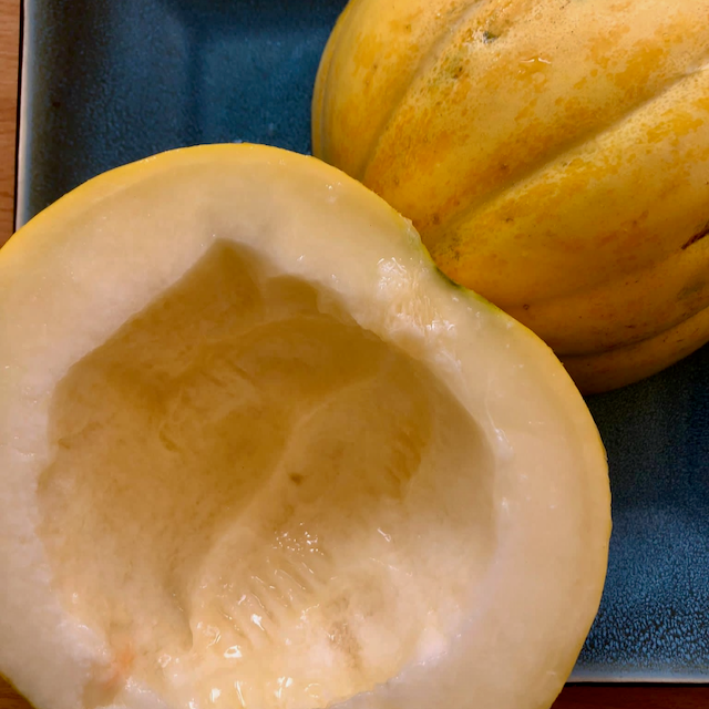 Hopi Origin Cantaloupe β Vibrant Earth Seeds