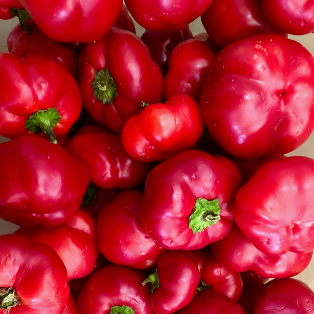 Red Pimento – Vibrant Earth Seeds